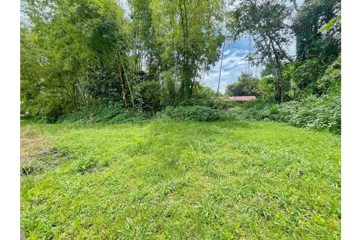 UrbanLex vende lote conjunto campestre área 615m2 $220Millones