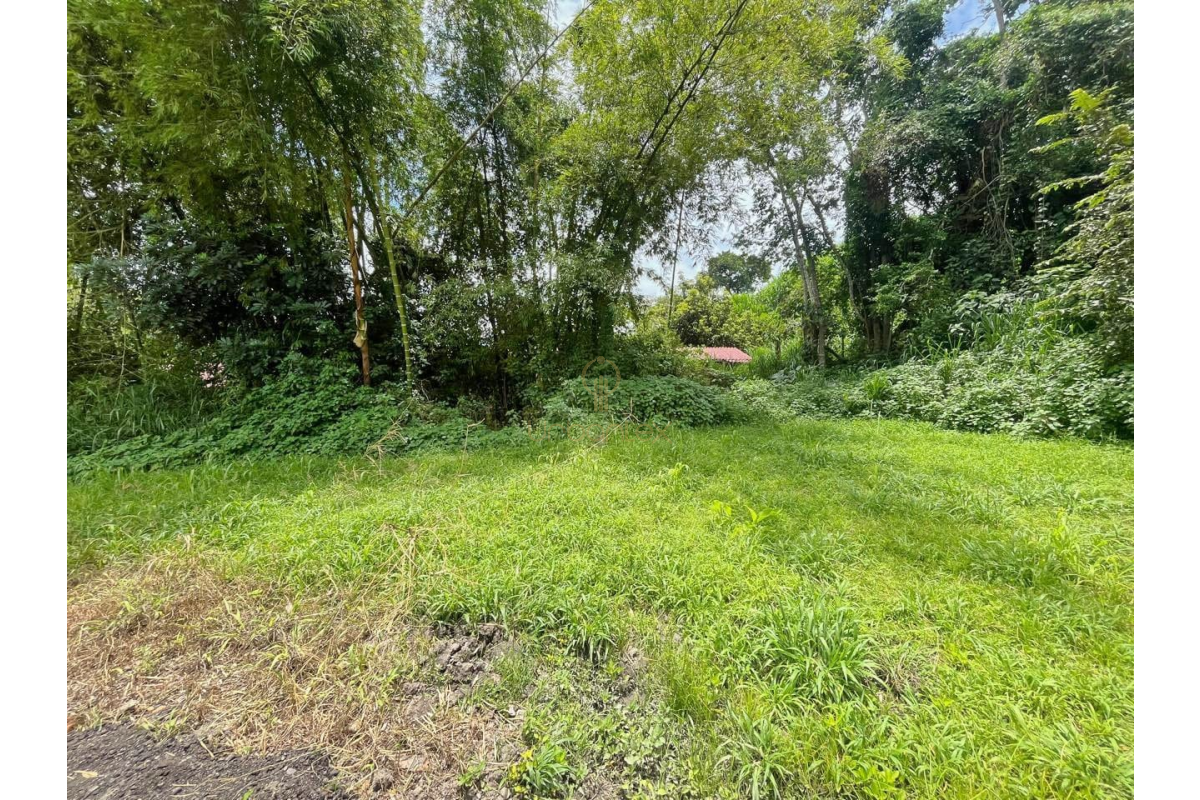 UrbanLex vende lote conjunto campestre área 615m2 $220Millones